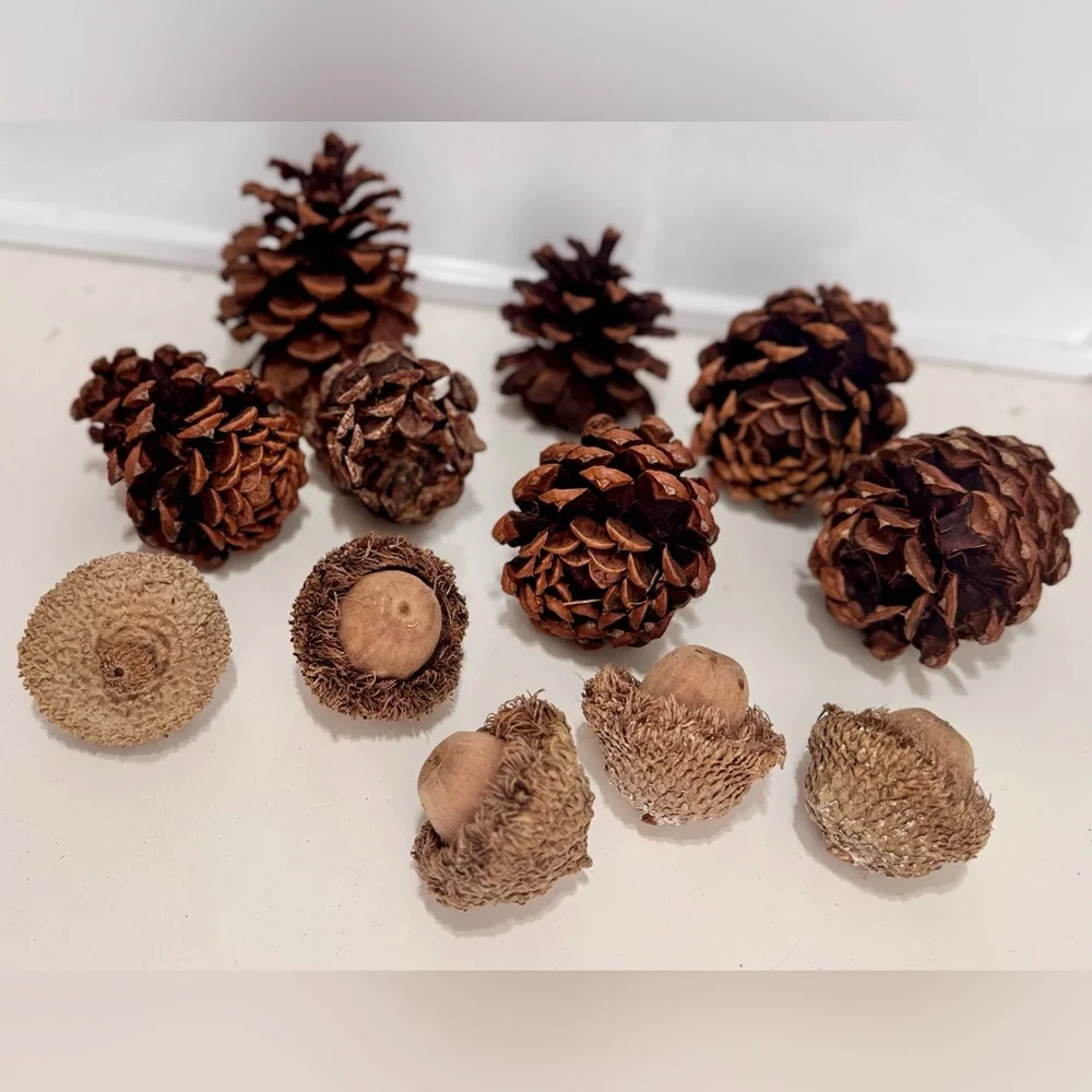 12 Pc. Natural Pinecone & Acorn Set for Rustic Floral Arrangement Wreath Crafts
